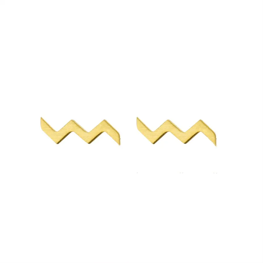 Geometrical Curved Zigzag Waved Stud Earrings for Women Girlfriend Stainless Steel Piercing Orelha Body Jewelry Wedding Gift
Geometrical Curved Zigzag Waved Stud Earrings for Women Girlfriend Stainless Steel Piercing Orelha Body Jewelry Wedding Gift