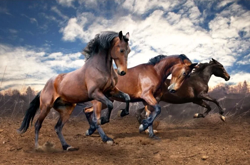 Horse galloping The wooden puzzle 1000 pieces ersion jigsaw puzzle white card adult children's educational toys 
Horse galloping The wooden puzzle 1000 pieces ersion jigsaw puzzle white card adult children's educational toys