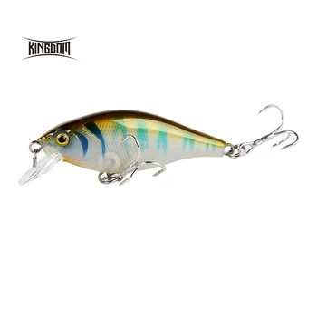 Kingdom Fishing Wobblers Jerkbait Crankbaits Hard Lures Sinking Minnow 55mm 6.5g Plastic Bait 4 Colors Available Model 7501
Kingdom Fishing Wobblers Jerkbait Crankbaits Hard Lures Sinking Minnow 55mm 6.5g Plastic Bait 4 Colors Available Model 7501