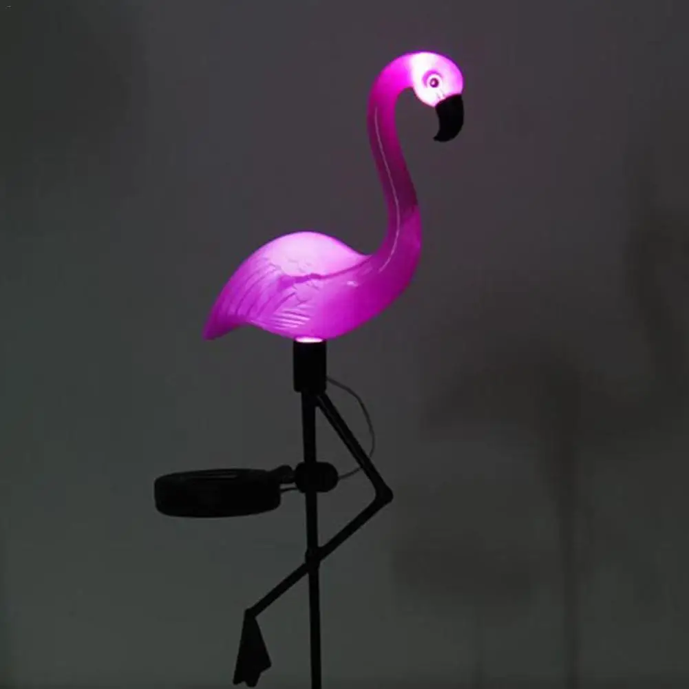 img2