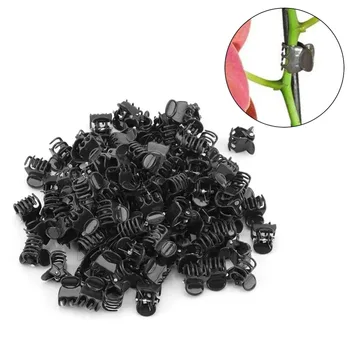 100Pcs Garden Vegetable Plastic Orchid Clips Tomato Vine Bushes Plants Durable Plastic Grafting Clips
100Pcs Garden Vegetable Plastic Orchid Clips Tomato Vine Bushes Plants Durable Plastic Grafting Clips