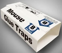 10Pcs באיכות גבוהה עכבר עכברוש לוח דביק דבק עכברוש מלכודת עכבר דבק לוח מכרסמים עכברים מלכודת שאינו רעיל הדברה לדחות(China)