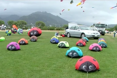 New to 3D high quality 0.6m 40D nylon clothes soft kite landscape ladybug kite/kite festival
New to 3D high quality 0.6m 40D nylon clothes soft kite landscape ladybug kite/kite festival
