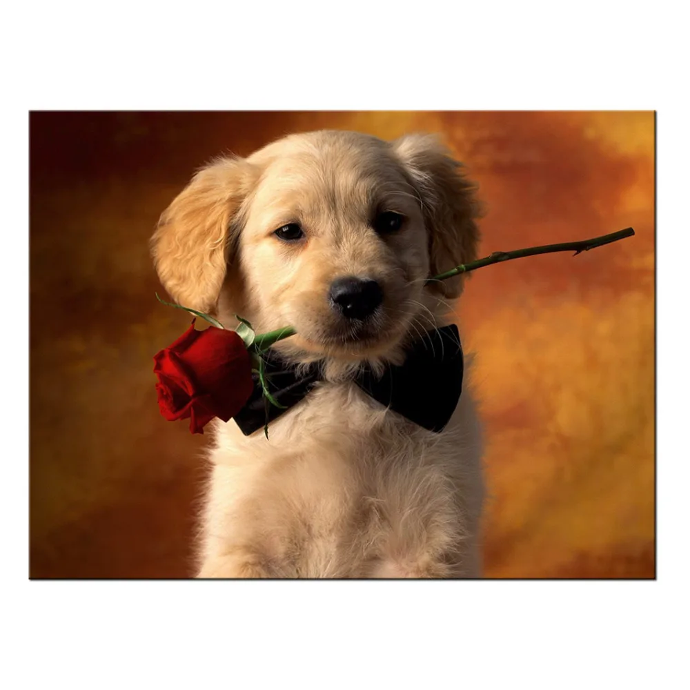 Canvas Art Wall Decor Lovely Pet Animal Dog Art Modern Picture Lovely Dog A Rose On The Mouth Artwork Print Poster Giclee Canvas
Canvas Art Wall Decor Lovely Pet Animal Dog Art Modern Picture Lovely Dog A Rose On The Mouth Artwork Print Poster Giclee Canvas