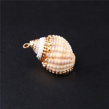 3Pcs Natural Conch Shell Pendant Cowrie Gold Edged Sea Beach Spiral Shells Charm Crafts DIY Making Jewelry Necklace Accessories
3Pcs Natural Conch Shell Pendant Cowrie Gold Edged Sea Beach Spiral Shells Charm Crafts DIY Making Jewelry Necklace Accessories