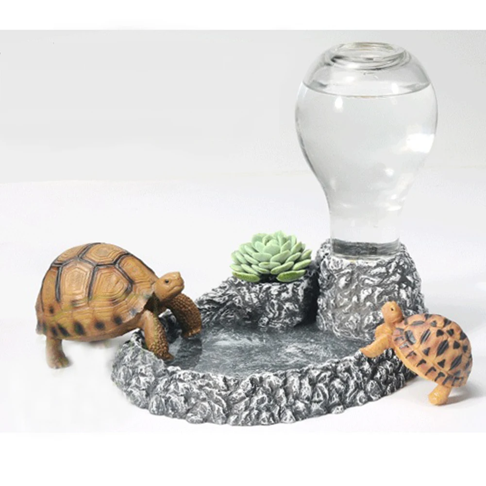 automatic tortoise feeder