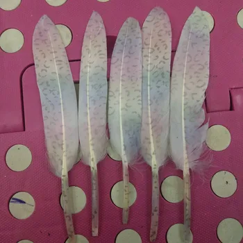 Beautiful decoration,500pcs/Lot,Multicolor Goose Feathers,Decorative Feathers,Feather Wedding Decor,Party Supplies
Beautiful decoration,500pcs/Lot,Multicolor Goose Feathers,Decorative Feathers,Feather Wedding Decor,Party Supplies