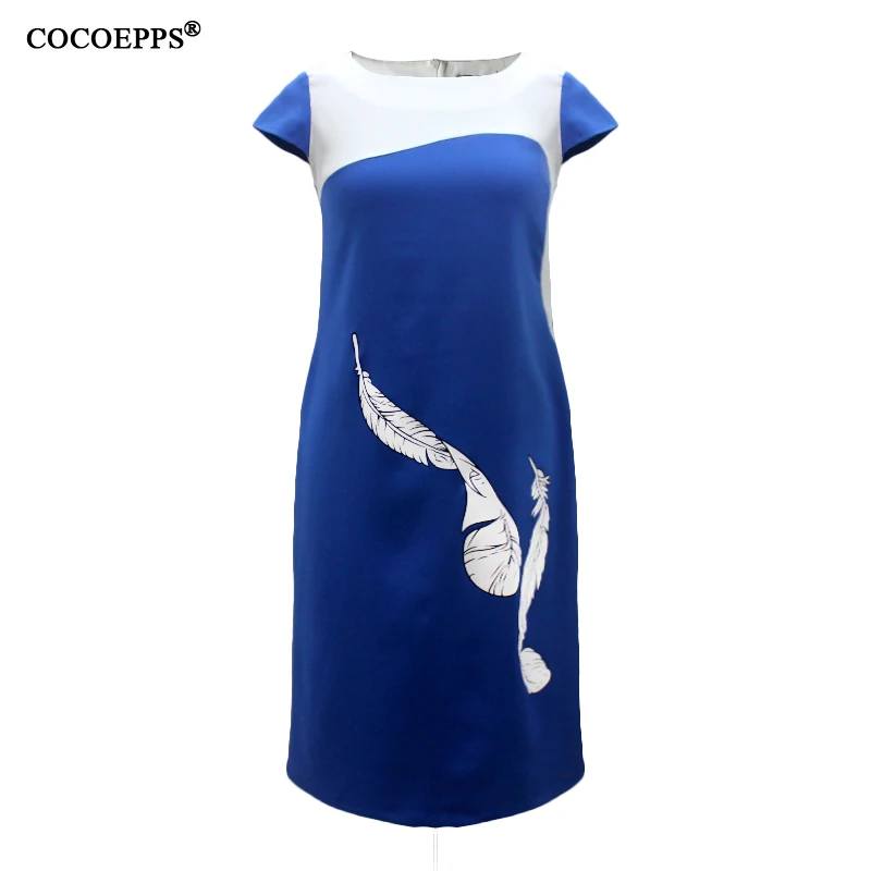 COCOEPPS13