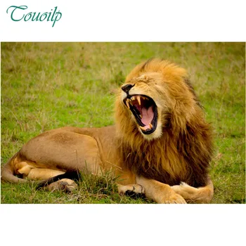 5D Diy diamond painting round&square Lonely Lion King Prairie crystal Painting diamonds decorative diy diamond embroidery kits
5D Diy diamond painting round&square Lonely Lion King Prairie crystal Painting diamonds decorative diy diamond embroidery kits