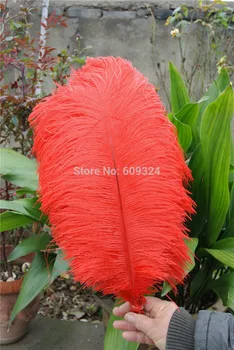 Wholesale 50 pcs per color Prefect RED 16-18inch(40-45cm) Ostrich Feather Wedding Decoration Eiffel Centerpieces
Wholesale 50 pcs per color Prefect RED 16-18inch(40-45cm) Ostrich Feather Wedding Decoration Eiffel Centerpieces