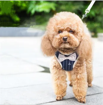 Dog and Cat Universal Harness with Traction Rope, Adjustable Vest-Type Pet Harness
Dog and Cat Universal Harness with Traction Rope, Adjustable Vest-Type Pet Harness