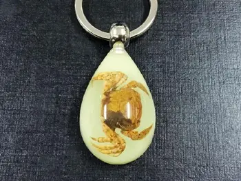 FREE SHIPPING yqtdmy 10 pcs keychain crab insect glow in the dark drop style jewelry
FREE SHIPPING yqtdmy 10 pcs keychain crab insect glow in the dark drop style jewelry