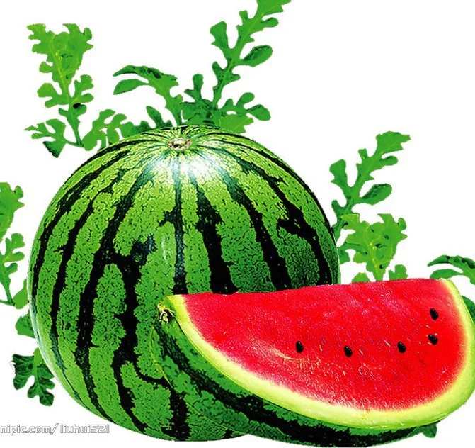 2018 Special Offer Limited Summer Aquarius Excluded Sementes Organic Vegetable bonsai Watermelon Mines 10pcs Family Garden
2018 Special Offer Limited Summer Aquarius Excluded Sementes Organic Vegetable bonsai Watermelon Mines 10pcs Family Garden