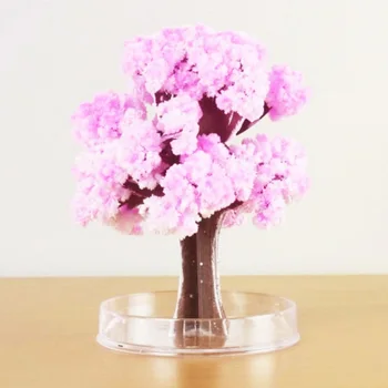 2019 Novelty DIY Paper Cherry Blossom Tree Artificial Magic Sakura Tree Cherry Blossom Kids Educational Toys Gift
2019 Novelty DIY Paper Cherry Blossom Tree Artificial Magic Sakura Tree Cherry Blossom Kids Educational Toys Gift