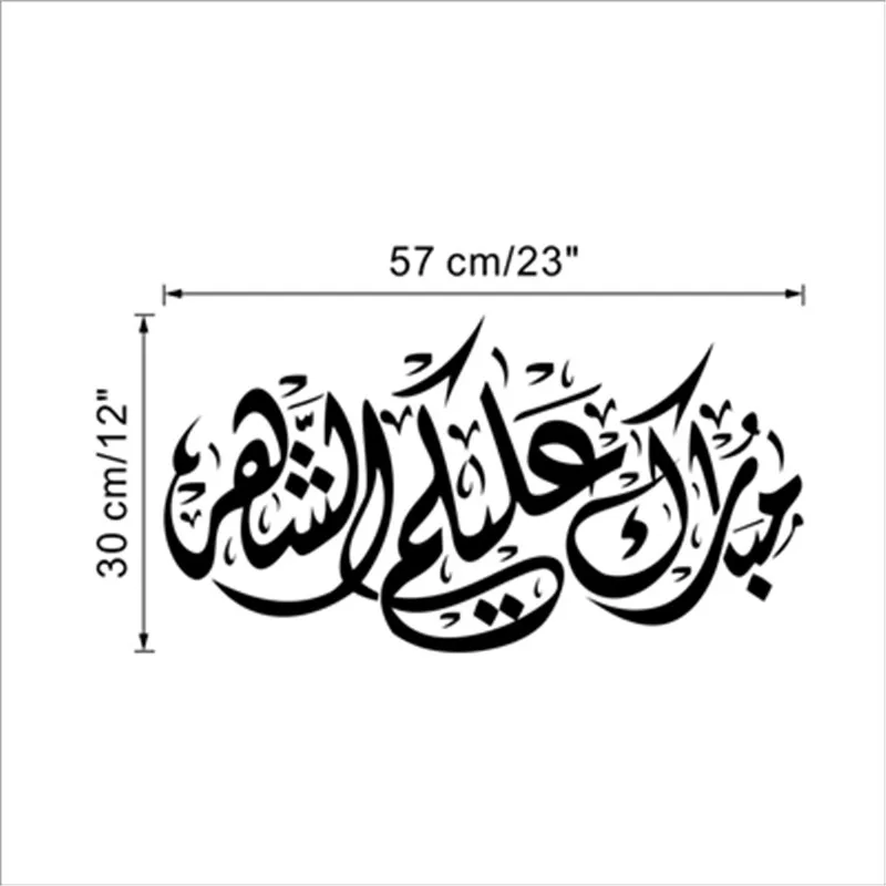 ZYVA-554-NA