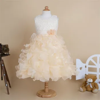 Retail Tiered Flower Girl Dress Champagne Ivory Red Pink Dress Princess Flower Girls Elegant Floral Dresses Evening Gowns
Retail Tiered Flower Girl Dress Champagne Ivory Red Pink Dress Princess Flower Girls Elegant Floral Dresses Evening Gowns