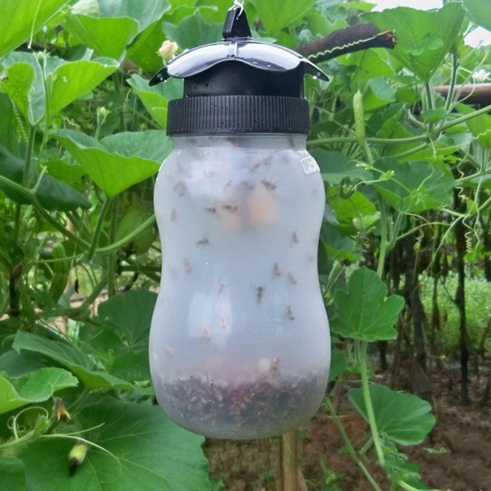 Fruit Fly Trap High Efficiency Easy to Use Pollution Free Fruit Fly Trap Bottle for Agriculture Organic Agriculture Outdoor
Fruit Fly Trap High Efficiency Easy to Use Pollution Free Fruit Fly Trap Bottle for Agriculture Organic Agriculture Outdoor