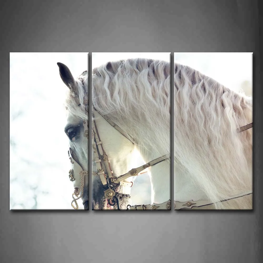 Framed Wall Art Pictures Beautiful White Horse Canvas Print Artwork Animal Posters With Wooden Frames For Living Room
Framed Wall Art Pictures Beautiful White Horse Canvas Print Artwork Animal Posters With Wooden Frames For Living Room