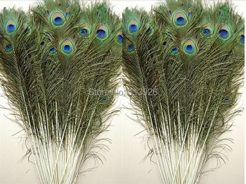 Wholesale Price!200pcs/lot 25-30cm real peacock feathers peacock feather fringe for indian headdress jewwelry making accessories
Wholesale Price!200pcs/lot 25-30cm real peacock feathers peacock feather fringe for indian headdress jewwelry making accessories