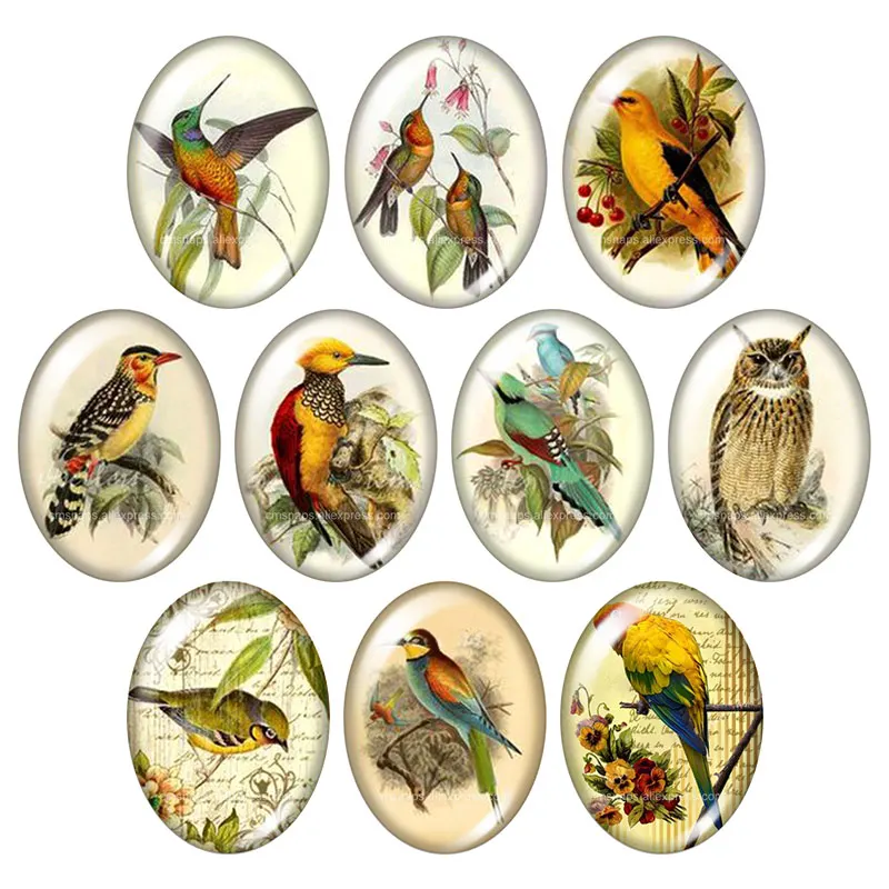 Vintage Birds parrot Magpie 13x18mm/18x25mm/30x40mm mixed Oval photo glass cabochon demo flat back Jewelry findings TB0046
Vintage Birds parrot Magpie 13x18mm/18x25mm/30x40mm mixed Oval photo glass cabochon demo flat back Jewelry findings TB0046