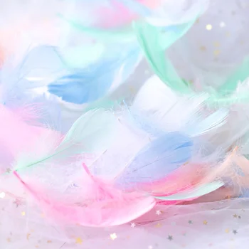 Refining High Quality Natural Feather Colourful Small Goose Feathers 3-8cm Photography props for Photo Background DIY Decoration
Refining High Quality Natural Feather Colourful Small Goose Feathers 3-8cm Photography props for Photo Background DIY Decoration