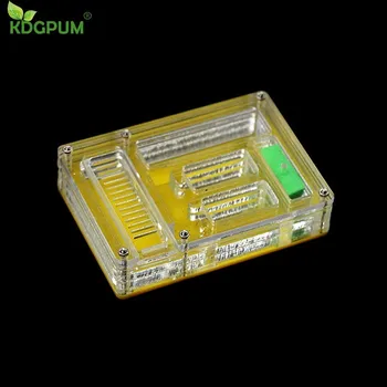 KDGPUM Ant Nest Ants Farm Home Ants Watch Box Acrylic Ant Workshop Granja De Hormigas Nid Fourmis Villa Pet Mania For House
KDGPUM Ant Nest Ants Farm Home Ants Watch Box Acrylic Ant Workshop Granja De Hormigas Nid Fourmis Villa Pet Mania For House
