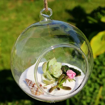 New Arrive Borosilicate Glass Hanging Vase & Tabletop Vase Home Decor Diameter 8cm Transparent
New Arrive Borosilicate Glass Hanging Vase & Tabletop Vase Home Decor Diameter 8cm Transparent