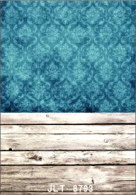 5x10ft Vinyl Custom Digital Photography Backdrops Props Photo Studio Backgrounds SK-8793
5x10ft Vinyl Custom Digital Photography Backdrops Props Photo Studio Backgrounds SK-8793
