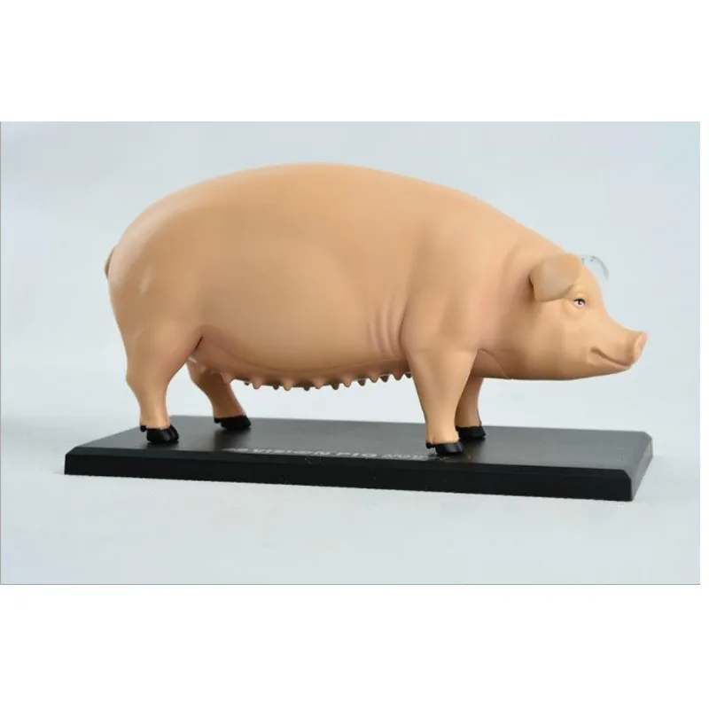 Kids DIY Toys Assembly Pig Anatomy Model 3D Puzzle Assembled Animal Model Puzzels for Children Kids Educational Science Toys
Kids DIY Toys Assembly Pig Anatomy Model 3D Puzzle Assembled Animal Model Puzzels for Children Kids Educational Science Toys
