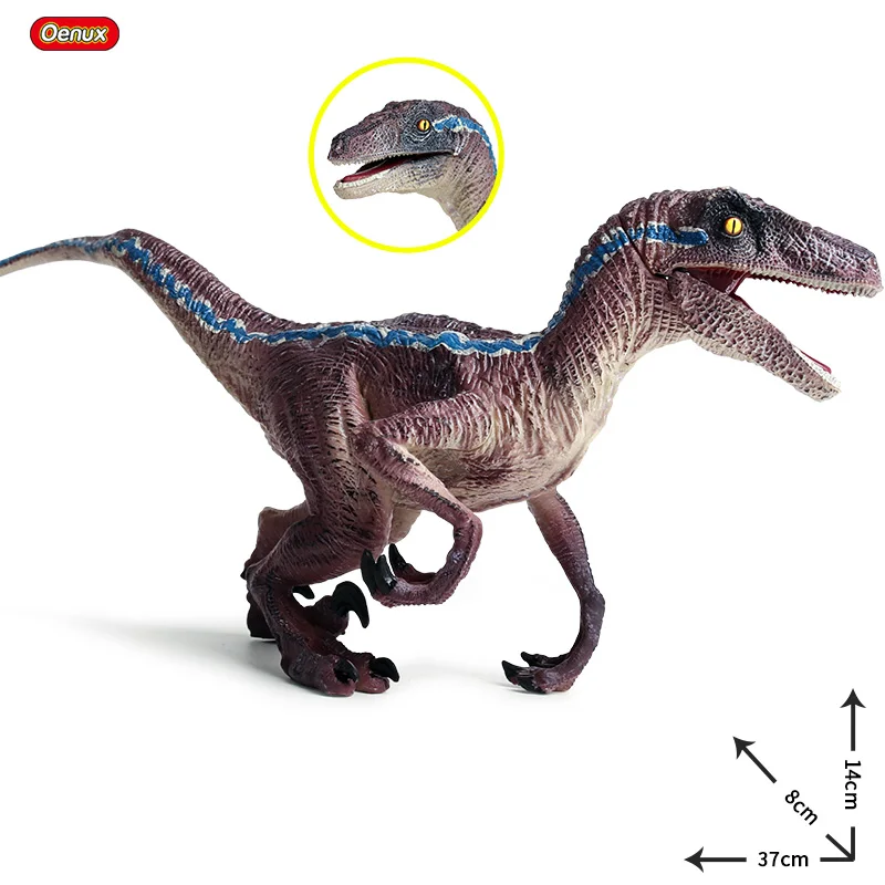 Oenux Jurassic Dinosaur Big Size 37x8x14cm Blue Raptor Velociraptor Action Figures Open Mouth Model PVC Collection Kids Toy
Oenux Jurassic Dinosaur Big Size 37x8x14cm Blue Raptor Velociraptor Action Figures Open Mouth Model PVC Collection Kids Toy