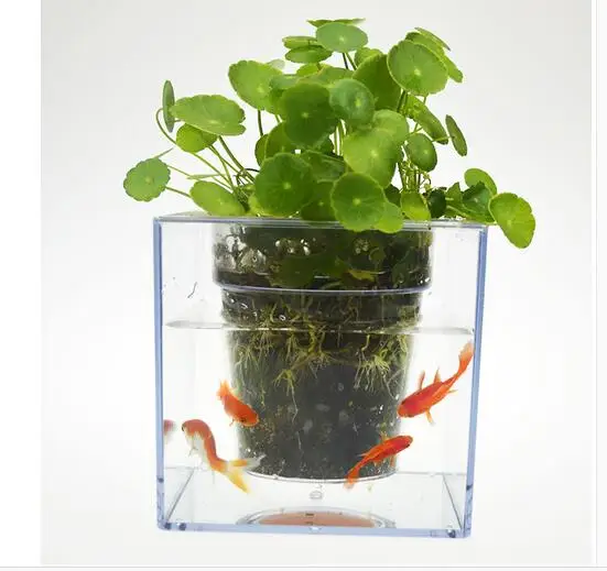 12*12cm,Creative fish flowerpot automatic lazy pots transparent desktop plants potted fish tank water peach
12*12cm,Creative fish flowerpot automatic lazy pots transparent desktop plants potted fish tank water peach