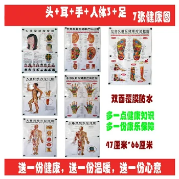 10pcs chart human body wall map acupuncture point scrapping chart TCM medcinice head Ear foot hands Chinese-English Waterproof
10pcs chart human body wall map acupuncture point scrapping chart TCM medcinice head Ear foot hands Chinese-English Waterproof