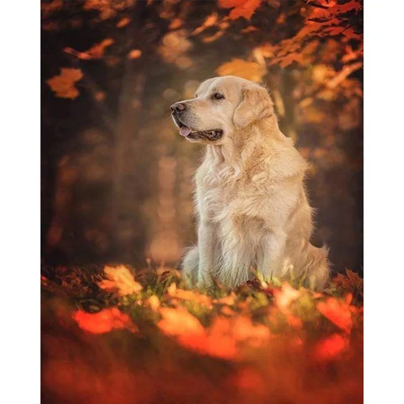 5D DIY Diamond Painting Dog Cross Stitch Full Diamond Embroidery Golden Retriever Diamond Mosaic Handmade Home Decor Picture
5D DIY Diamond Painting Dog Cross Stitch Full Diamond Embroidery Golden Retriever Diamond Mosaic Handmade Home Decor Picture
