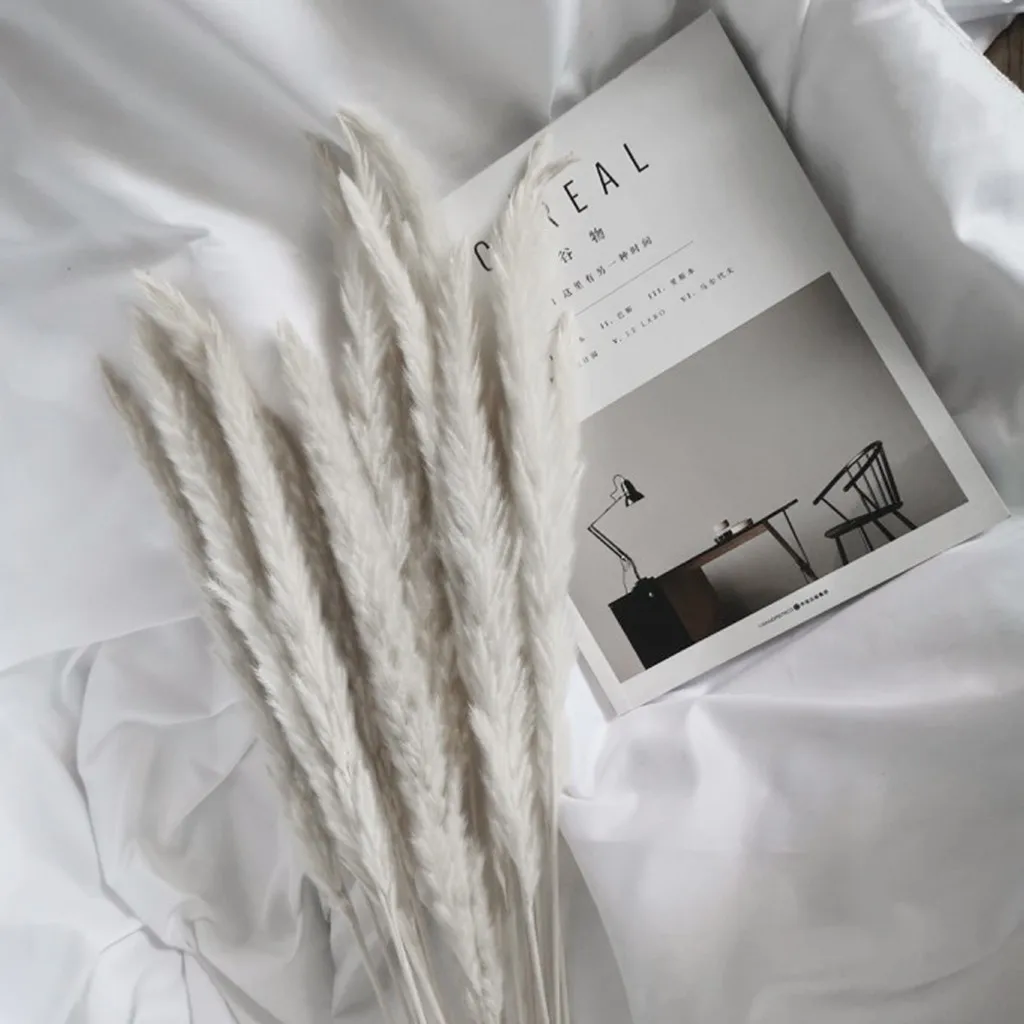 20 Pcs Soft Home Ornamental Furnishing Living Room Shooting Props Pampas Home Decor Reed dried Flowers
20 Pcs Soft Home Ornamental Furnishing Living Room Shooting Props Pampas Home Decor Reed dried Flowers