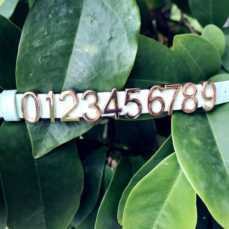 SANSHOOR Jewelry Rose Gold NUMBER 0-9 Slide Charms can Fit with 10mm wide Mesh and Leather Bracelet
SANSHOOR Jewelry Rose Gold NUMBER 0-9 Slide Charms can Fit with 10mm wide Mesh and Leather Bracelet