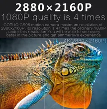 HTB1UUP9elLN8KJjSZPhq6A