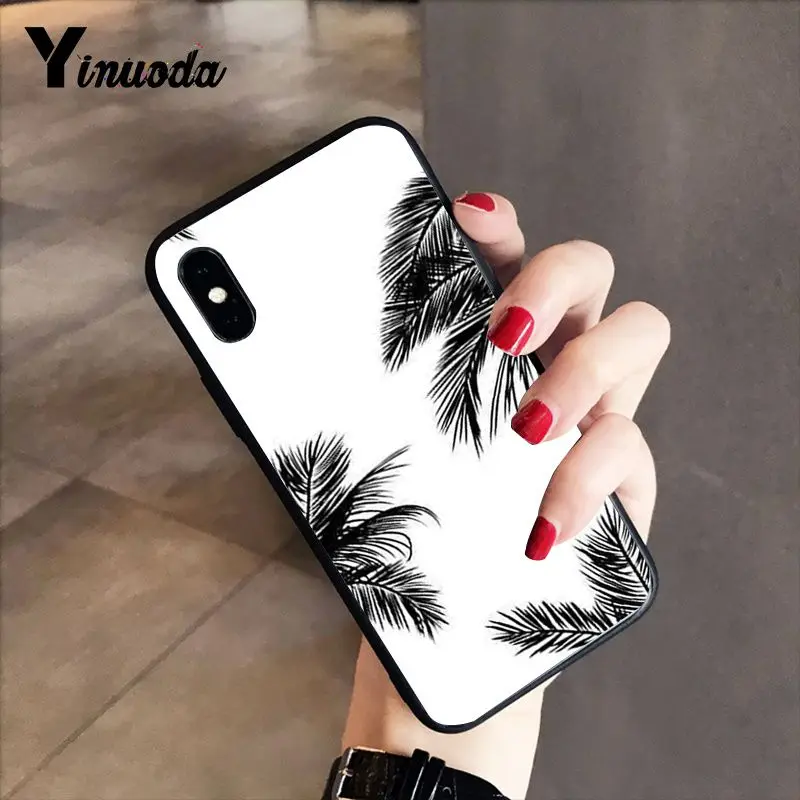 Black white palm leaves palm trees