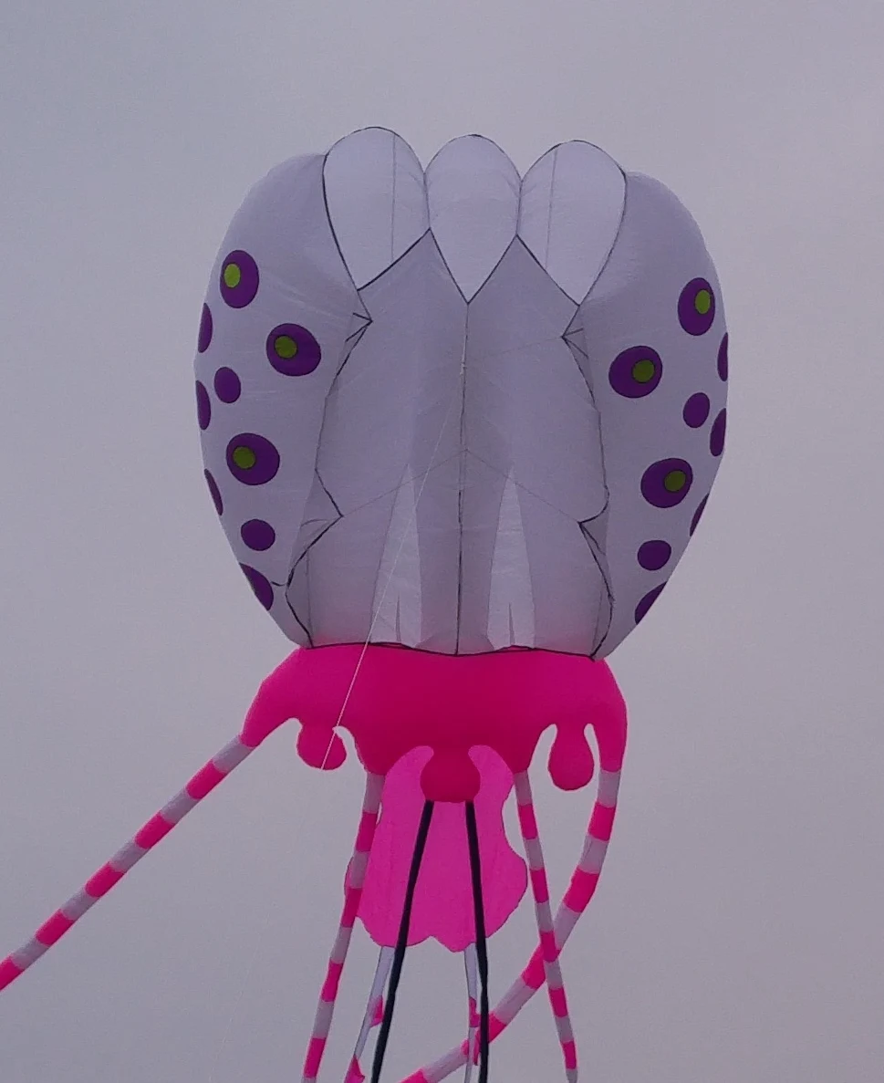 large kite latawiec cerf volant vlieger kites for adults flying cometas para adultos cometas infantiles windsock soft ripstop
large kite latawiec cerf volant vlieger kites for adults flying cometas para adultos cometas infantiles windsock soft ripstop