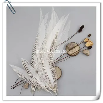 3middle size 30-45cm 50pcs/lot Sliver pheasant Feathers Carnival Party Shamba Decoration Beatiful Plumage feather For DIY Craft
3middle size 30-45cm 50pcs/lot Sliver pheasant Feathers Carnival Party Shamba Decoration Beatiful Plumage feather For DIY Craft