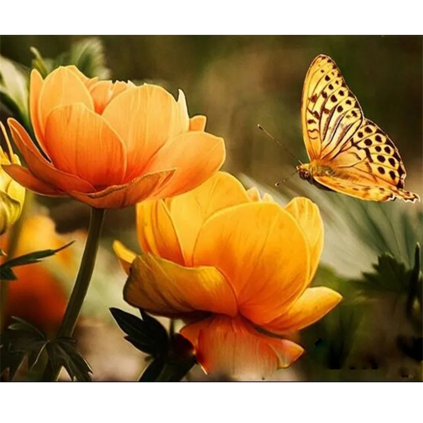 DIY Digital Painting By Numbers Package Yellow butterfly oil painting mural Kits Coloring Wall Art Picture Gift frameless
DIY Digital Painting By Numbers Package Yellow butterfly oil painting mural Kits Coloring Wall Art Picture Gift frameless