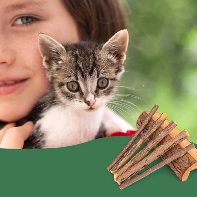 5PCS Cat Cleansing Molar Sticks Bite Chewing Natural Wood Japanese Cat Food Snacks High Quality Pet Treatment Articles Hot
5PCS Cat Cleansing Molar Sticks Bite Chewing Natural Wood Japanese Cat Food Snacks High Quality Pet Treatment Articles Hot