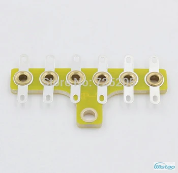 T-style Scaffolding Six copper Pins Gold-plated phosphor bronze for Tube Amplifier HIFI DIY Free Shipping
T-style Scaffolding Six copper Pins Gold-plated phosphor bronze for Tube Amplifier HIFI DIY Free Shipping