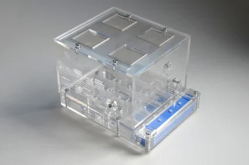 1PCS Acrylic Ant Nest Ant Villa Dulong
1PCS Acrylic Ant Nest Ant Villa Dulong