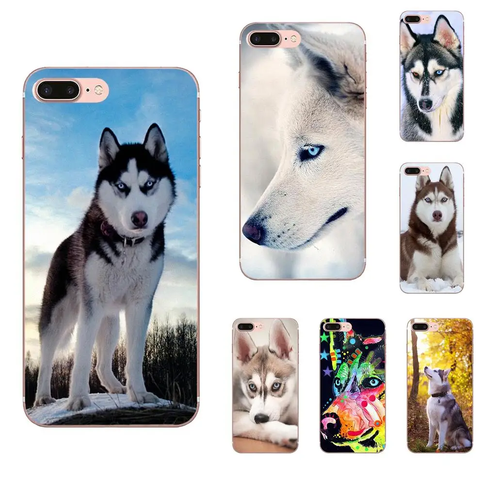 Lovely Dog Siberian Husky Protector Phone Case For Galaxy Alpha Core Prime Note 4 5 8 S3 S4 S5 S6 S7 S8 S9 mini edge Plus
Lovely Dog Siberian Husky Protector Phone Case For Galaxy Alpha Core Prime Note 4 5 8 S3 S4 S5 S6 S7 S8 S9 mini edge Plus