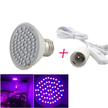 Indoor 60 Leds Led Grow Light Plant Growth Bulbs With 360 Degrees Flexible Lamp Holder Clip Lights Growing For Hydroponic
Indoor 60 Leds Led Grow Light Plant Growth Bulbs With 360 Degrees Flexible Lamp Holder Clip Lights Growing For Hydroponic
