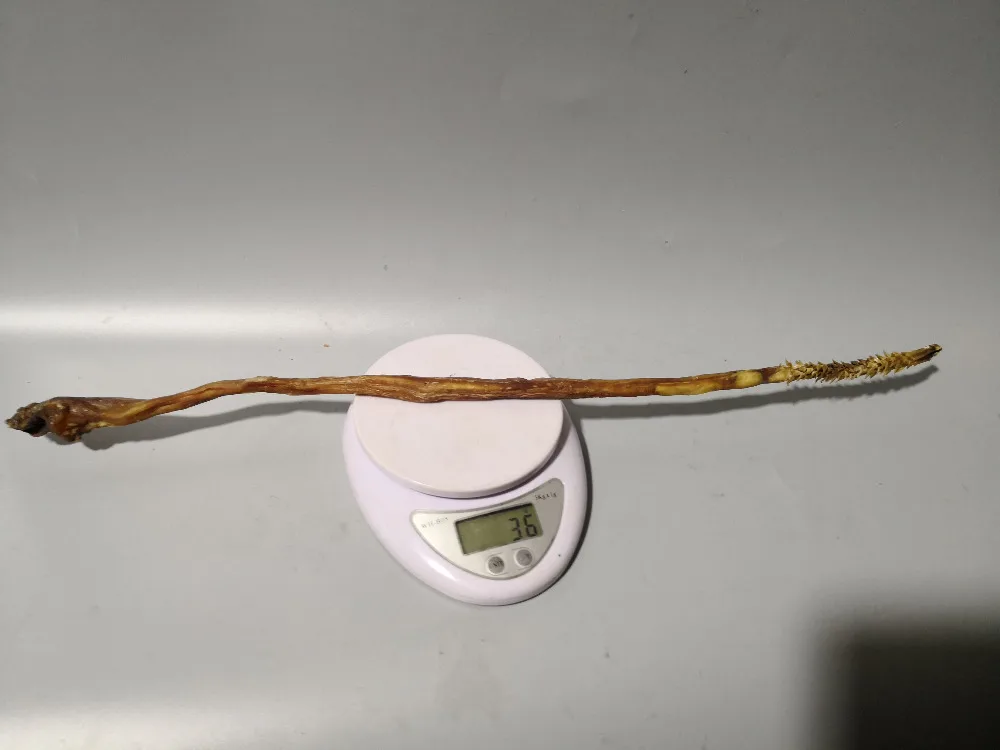 Chinese medicine processing of traditional Chinese Medicine Aphrodisiac Chinese medicine of Zhuang Yang Wild deer Whip
Chinese medicine processing of traditional Chinese Medicine Aphrodisiac Chinese medicine of Zhuang Yang Wild deer Whip