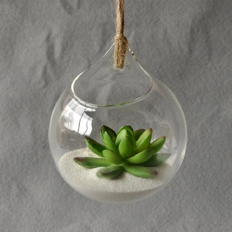 Hanging Glass Vase Hanging Terrarium Glass Vase Hydroponic Flower Indoor Office Home Decor Ornament Home Decoration Hanging Vase
Hanging Glass Vase Hanging Terrarium Glass Vase Hydroponic Flower Indoor Office Home Decor Ornament Home Decoration Hanging Vase