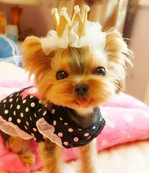 Free Shipping Crown Designs Pet Puppy Cat Dog Bows Hairclip hairpinGrooming Products pearl crystal lace hairclip 100pcs/lot
Free Shipping Crown Designs Pet Puppy Cat Dog Bows Hairclip hairpinGrooming Products pearl crystal lace hairclip 100pcs/lot