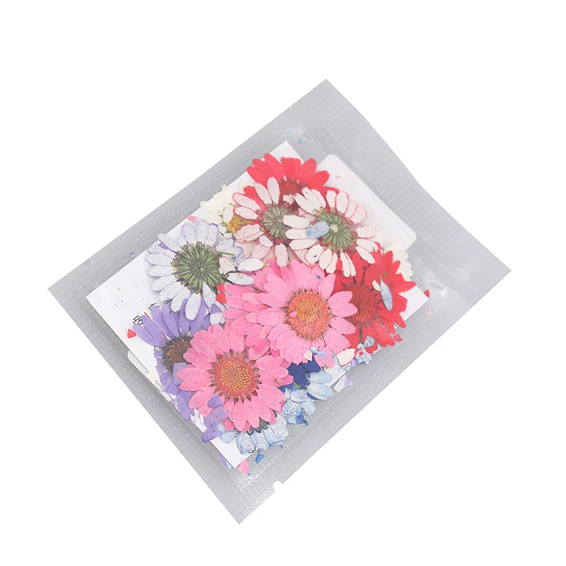 Beautiful Real Pressed Flower Scrapbooking Resin Jewelry Craft Making Phone Case Dried Flowers for Art Craft
Beautiful Real Pressed Flower Scrapbooking Resin Jewelry Craft Making Phone Case Dried Flowers for Art Craft