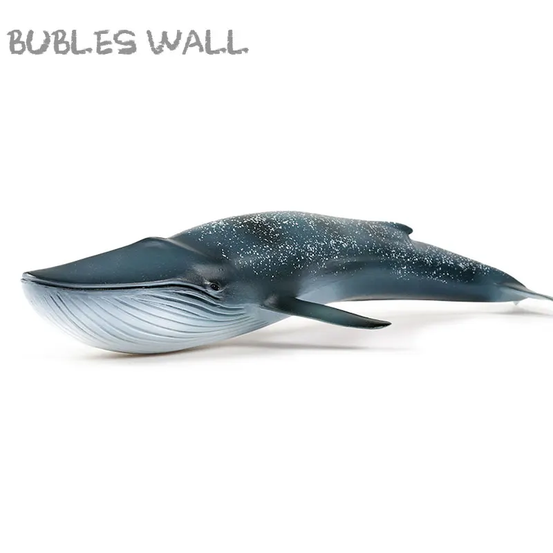 Bubles Wall Sea Life Marine Animals Blue Whale High Quality Action Figure Toy Ocean Animal Model For Kid Gift
Bubles Wall Sea Life Marine Animals Blue Whale High Quality Action Figure Toy Ocean Animal Model For Kid Gift